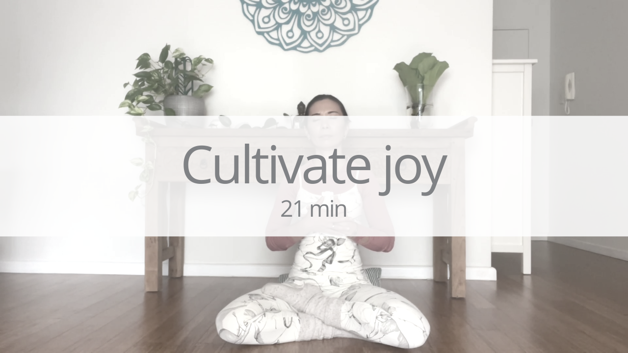 Meditation - cultivate joy