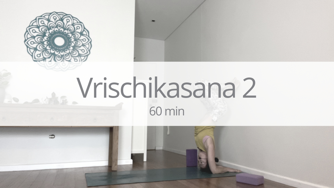 Vinyasa - vrischikasana - week 2