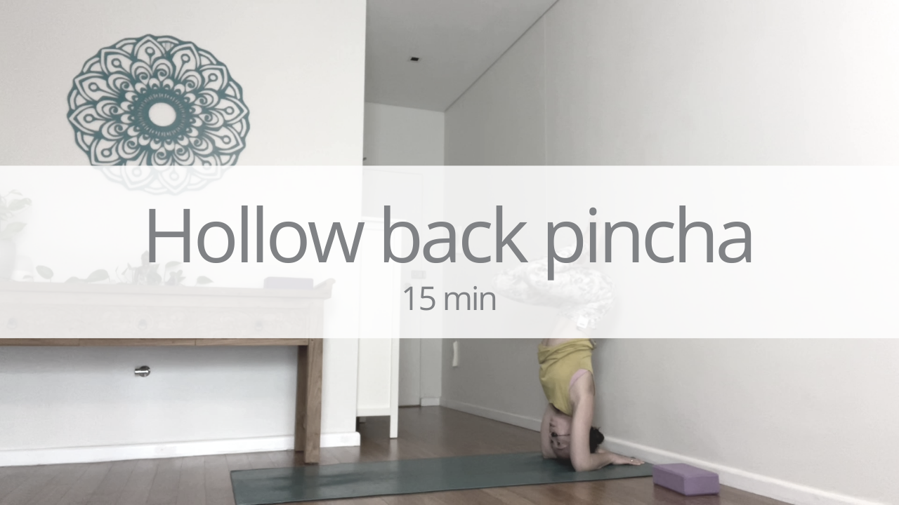 Tutorial - hollow back pincha mayurasana (forearm balance)