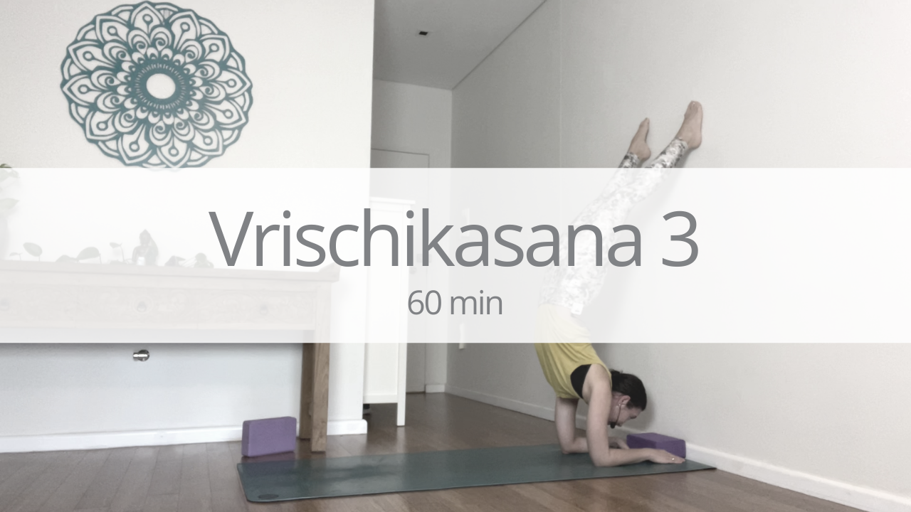 Vinyasa - vrischikasana - week 3