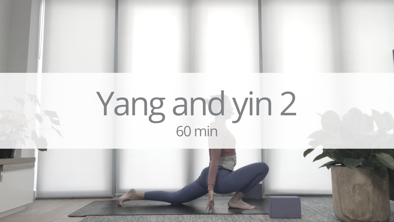 Vinyasa - yang and yin 2