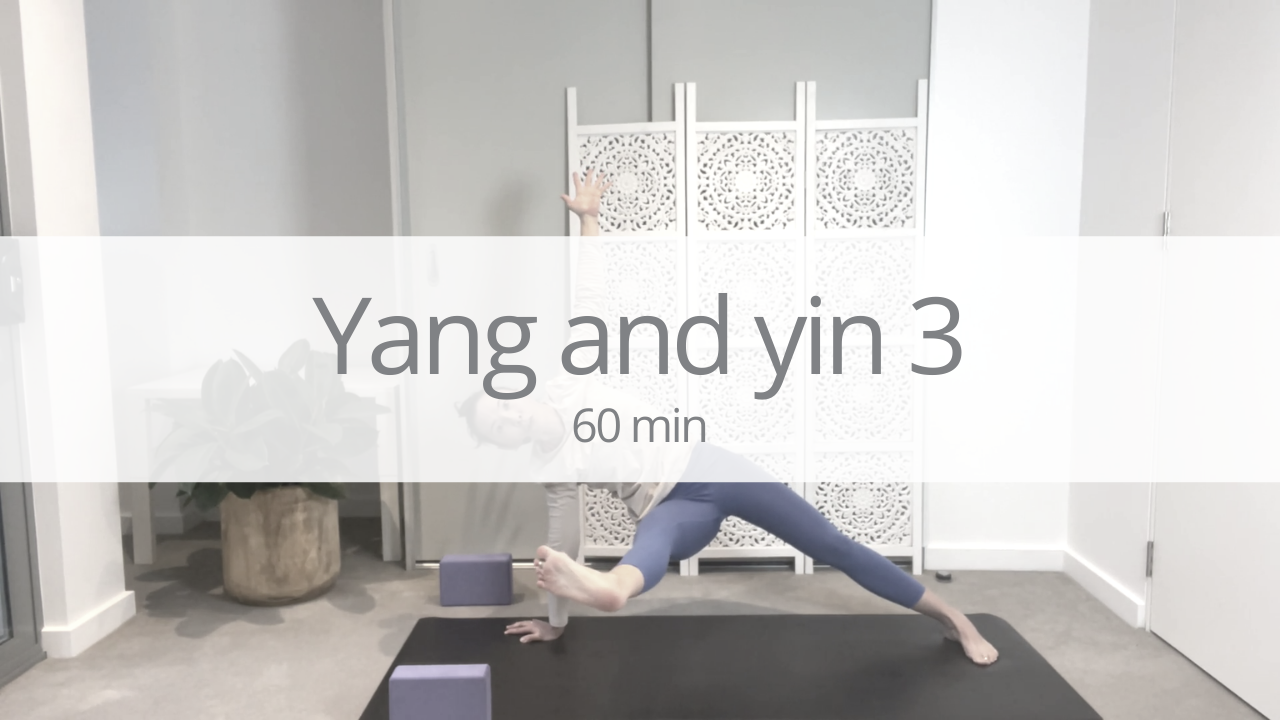 Vinyasa - yang and yin 3