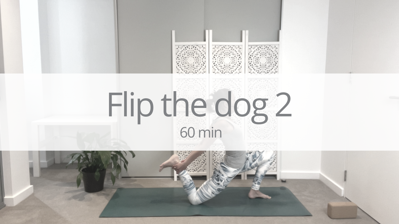 Vinyasa - flip the dog 2