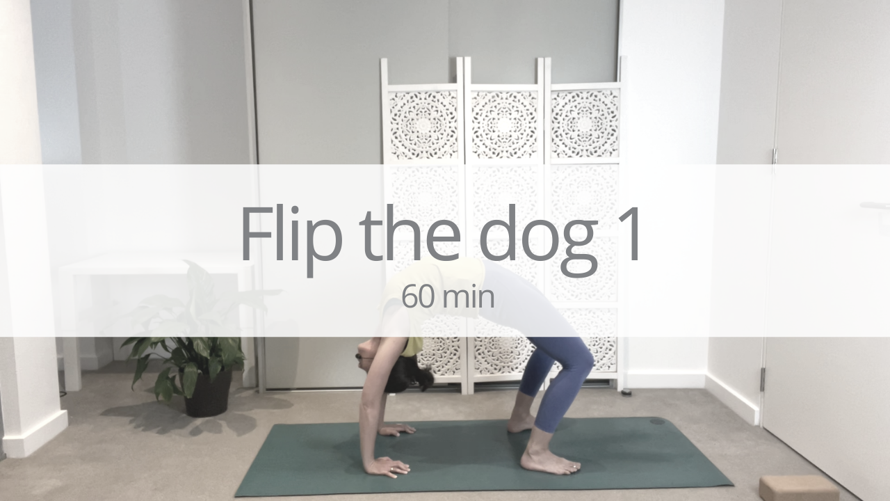 Vinyasa - flip the dog 1