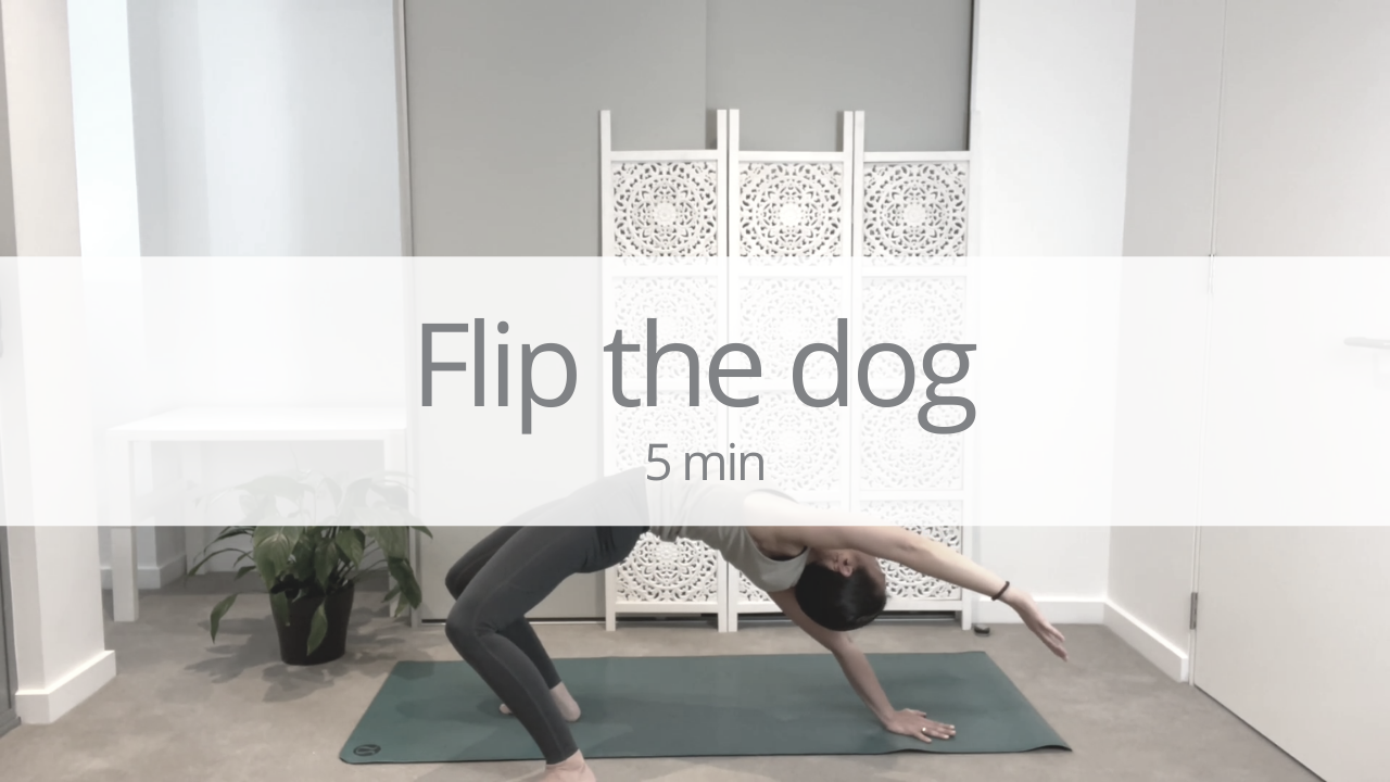 Tutorial - flip the dog