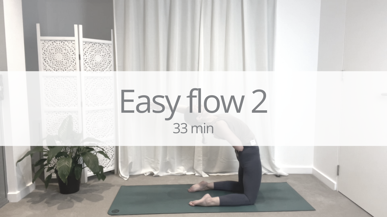Vinyasa short - easy flow 2