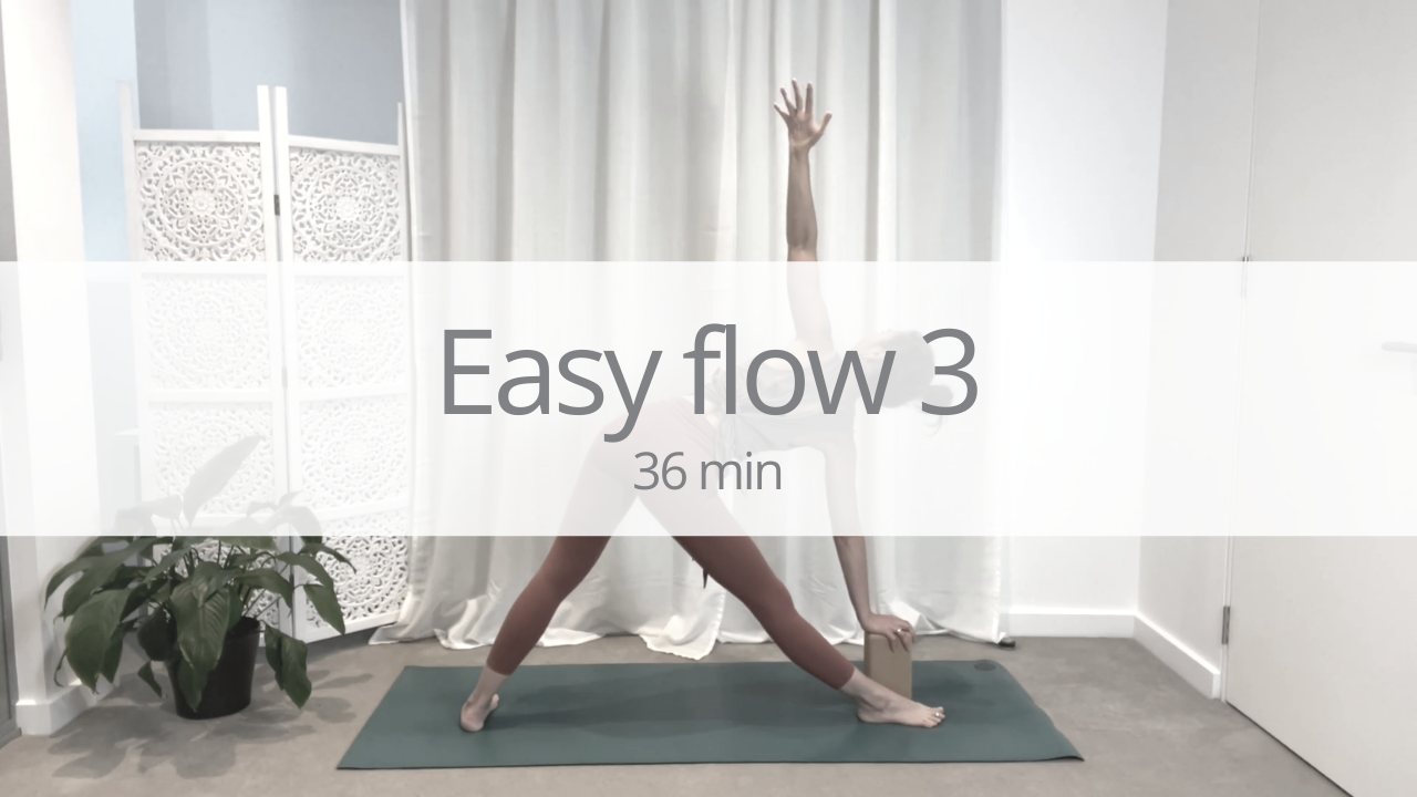 Vinyasa short - easy flow 3