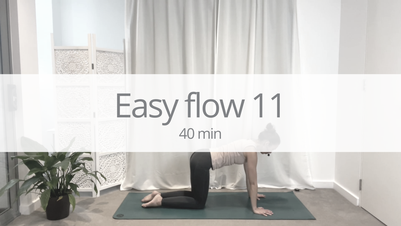 Vinyasa short - easy flow 11