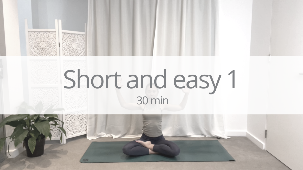 Vinyasa short - short and easy 2