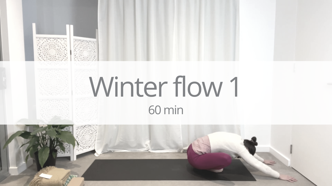 Vinyasa - winter flow 1