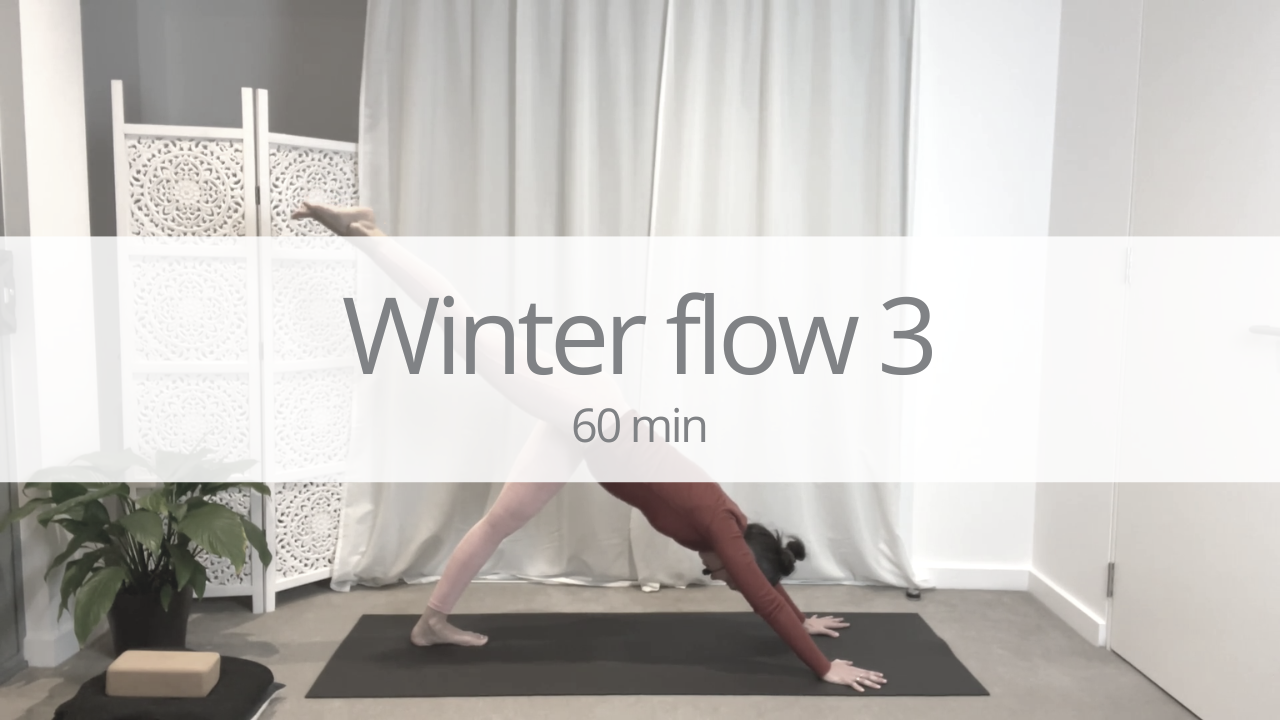 Vinyasa - winter flow 3