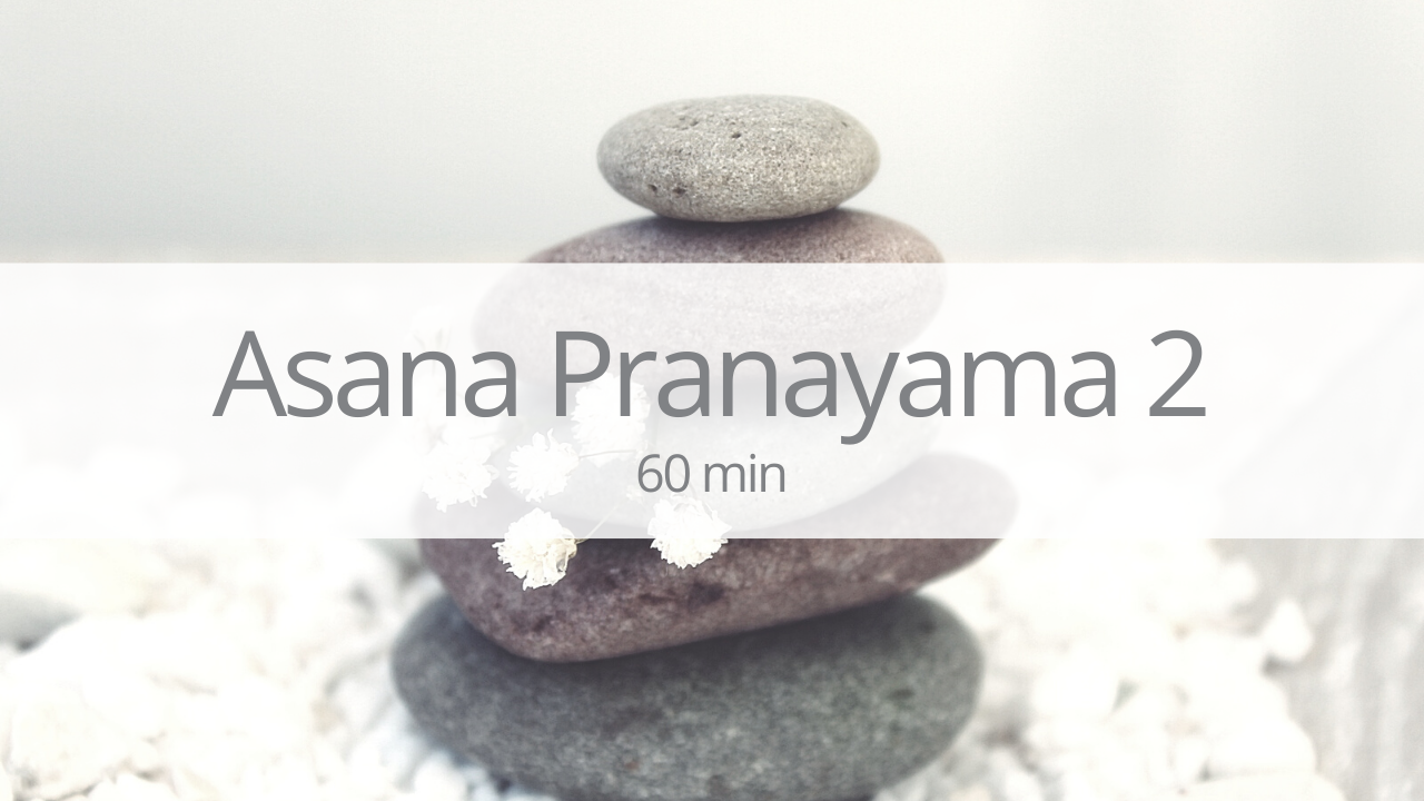 Vinyasa - asana and pranayama 2