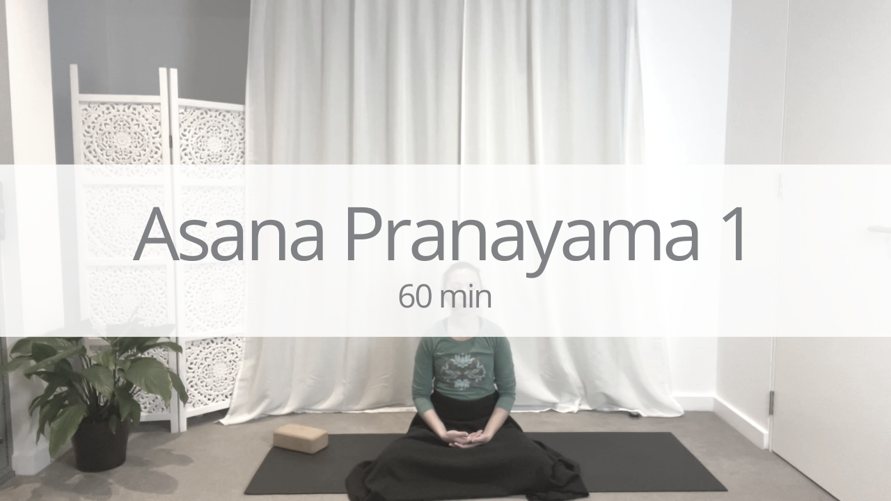Vinyasa - asana and pranayama 1