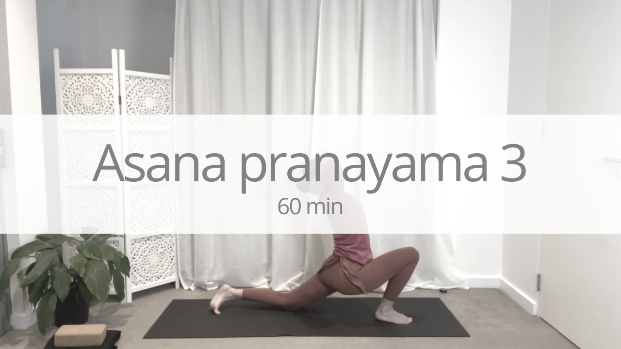 Vinyasa - asana and pranayama 3
