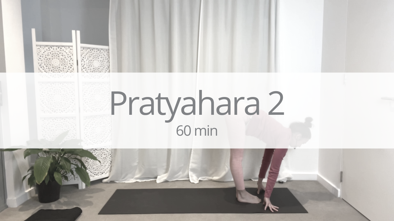Vinyasa - pratyahara 2