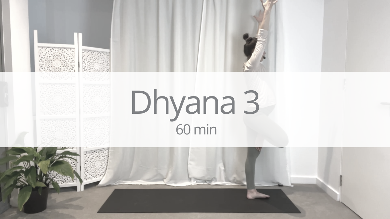 Vinyasa - dhyana 3