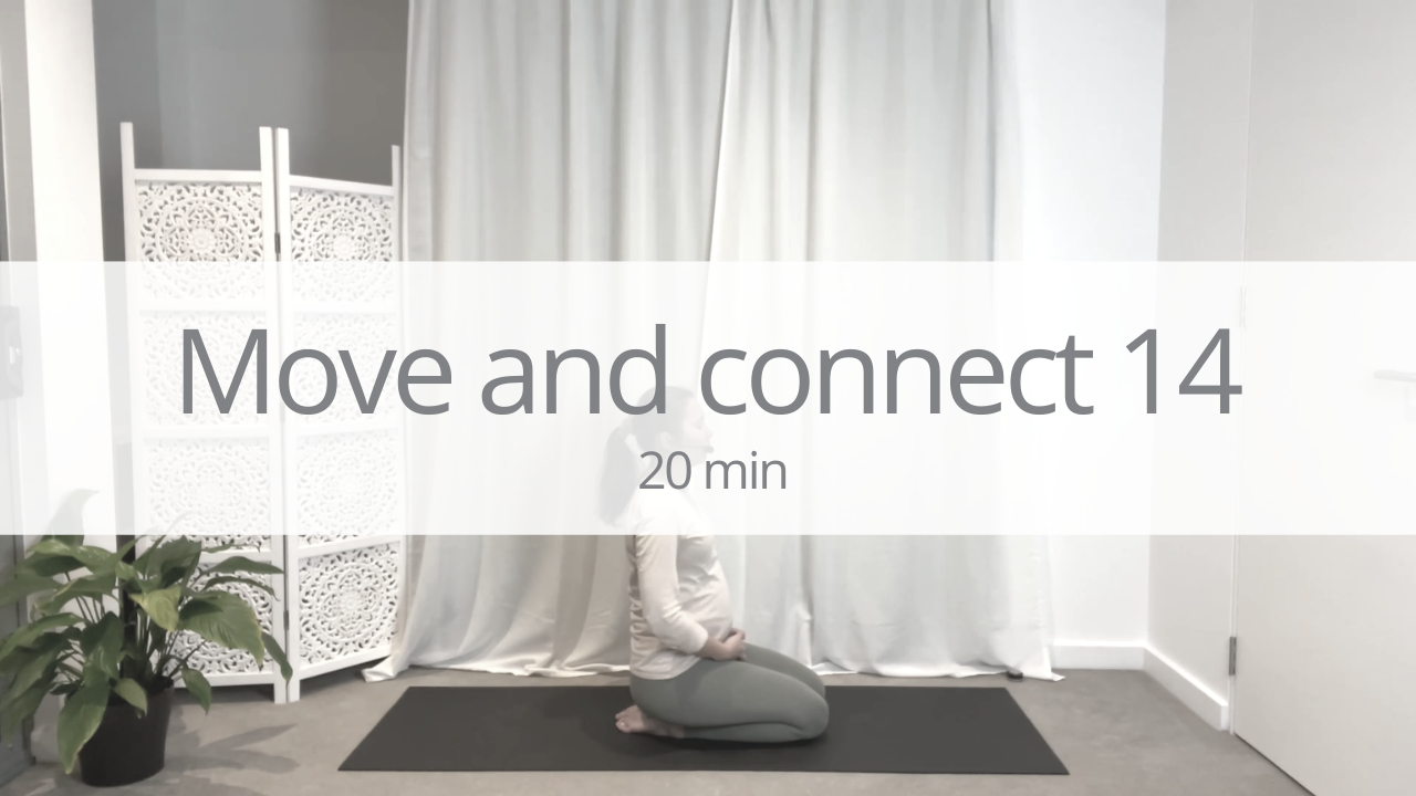Vinyasa short - move and connect 14