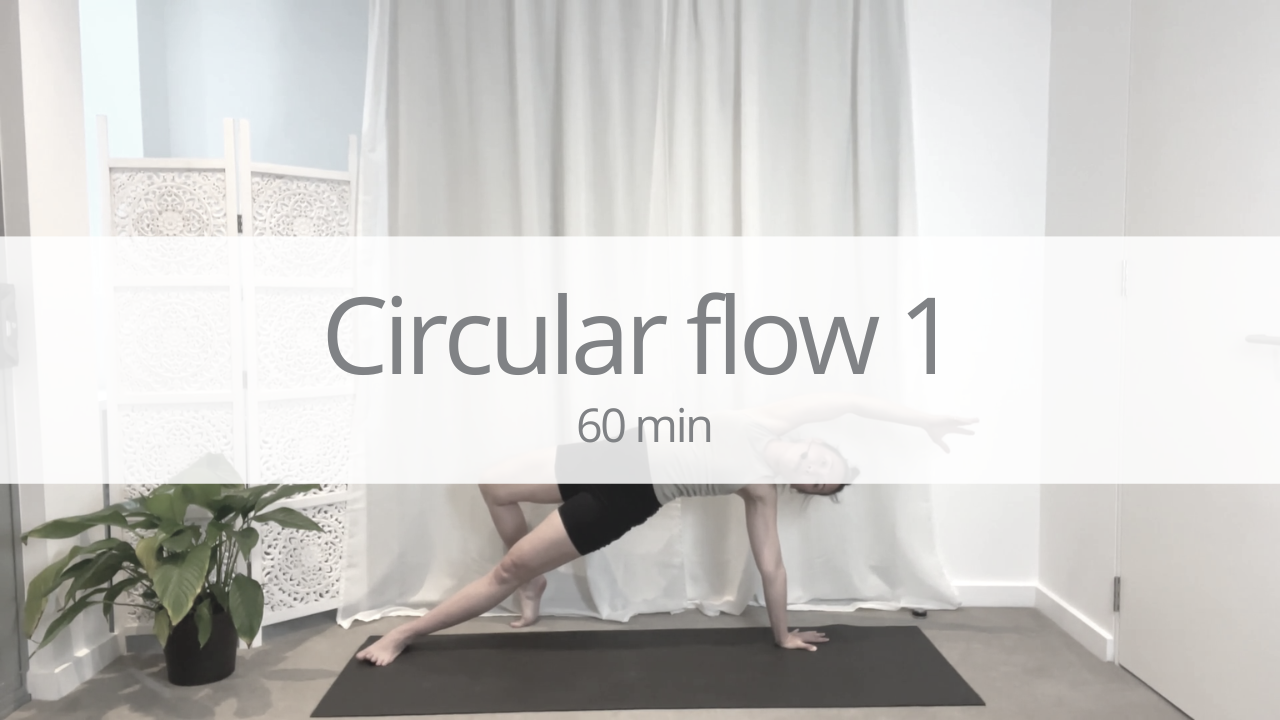 Vinyasa - cicular flow 1