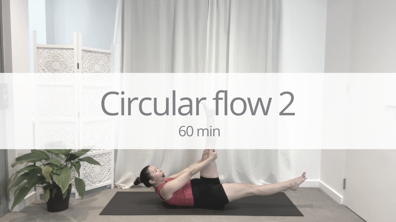 Vinyasa - cicular flow 2