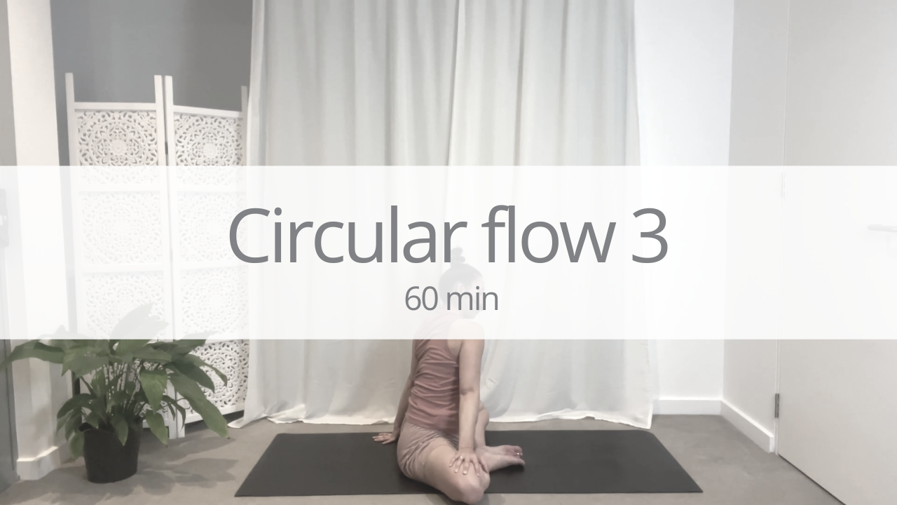 Vinyasa - cicular flow 3