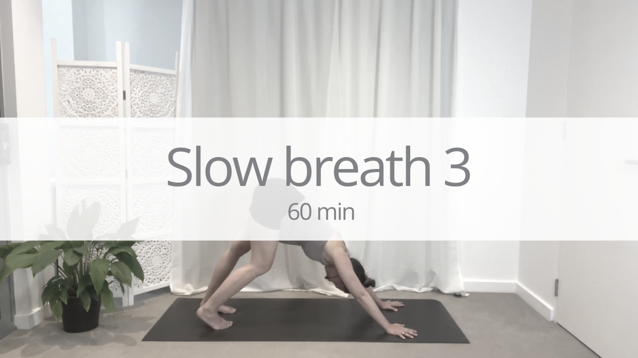 Vinyasa - slow breath 3