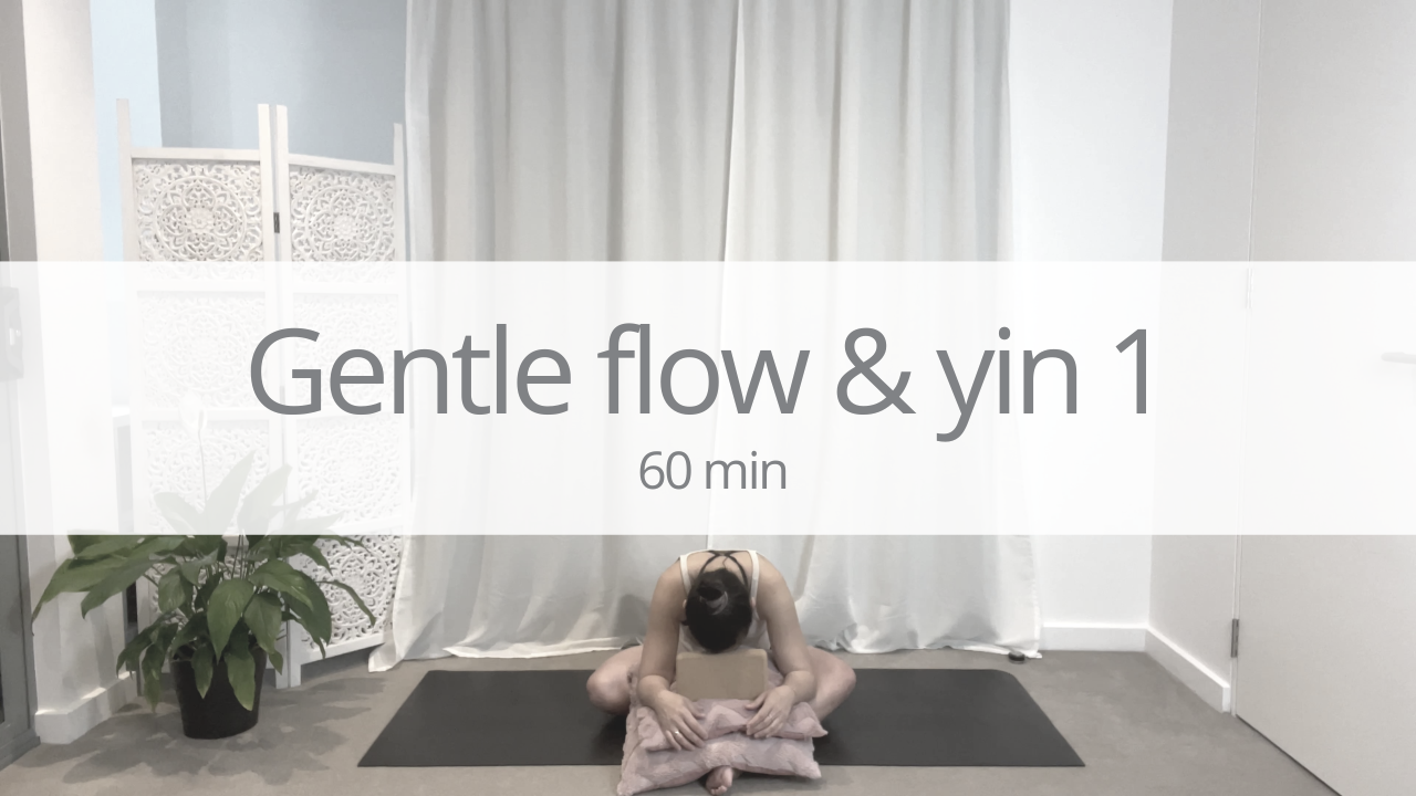 Vinyasa - gentle flow and yin 1