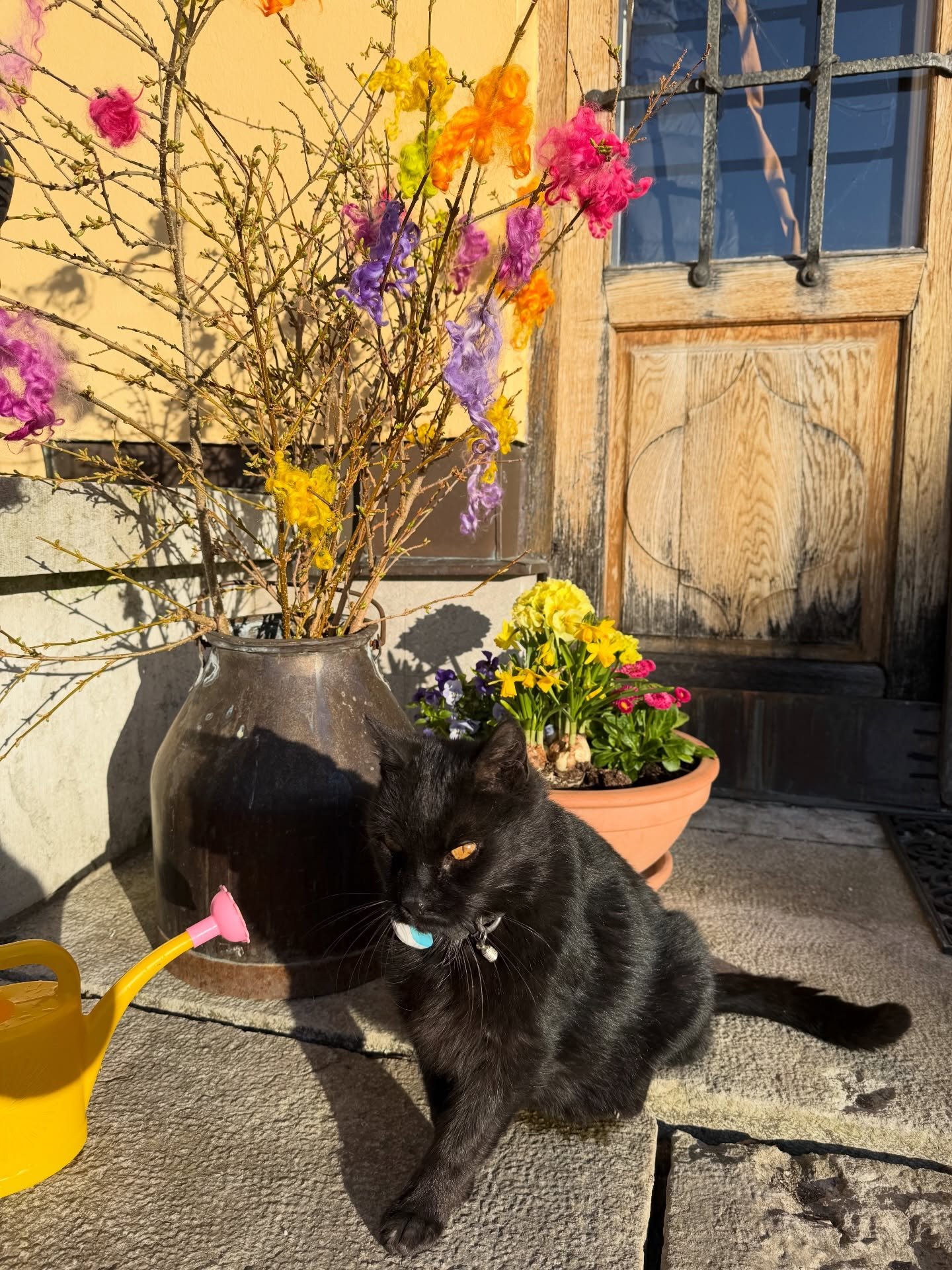 Glad p&aring;sk! 🐣 
Inf&ouml;r helgen har vi fyllt frysen i g&aring;rdsbutiken med lammk&ouml;tt. M&aring;nga popul&auml;ra produkter som 3 sorter lammkorv, marinerade grillspett och pastrami finns &auml;ven att handla igen. Firar man traditionellt 