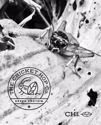 Image 5-21-19 at 12.03.JPG