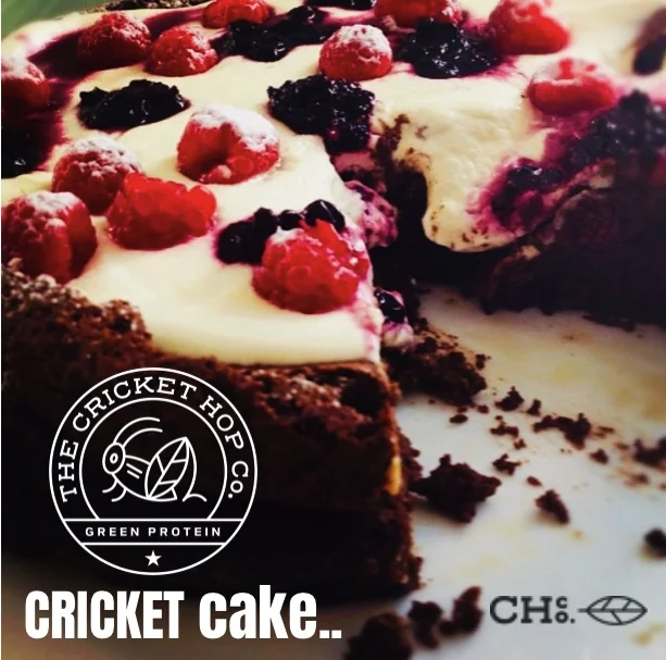 Image 5-21-19 at 12.40.JPG