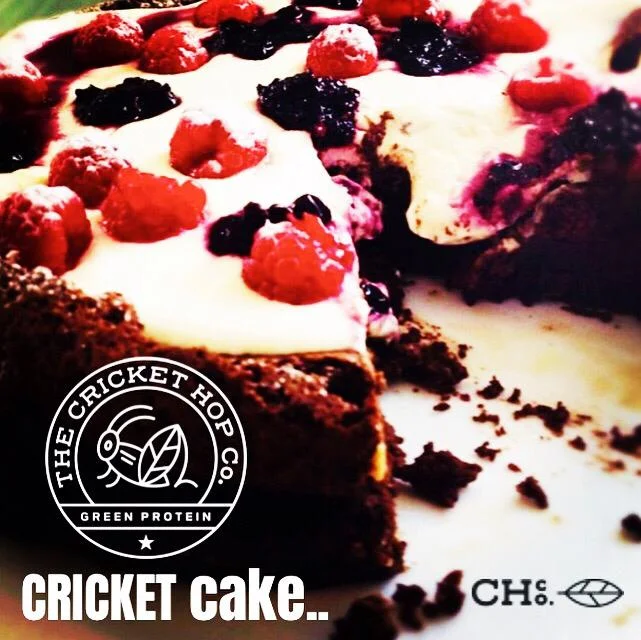 Cricket Protein Flour in the Age of Gluten-Free