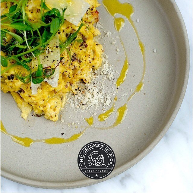 Happy Sunday! brunch with Crickets? 🍳🦗👨&zwj;🍳🌿 Try a scoop in your scrambled eggs for extra protein and minerals 💪🌏🥦 #crickethop #brunch #sunday #edibleinsects #imunebooster #greenprotein #chef #sustainability #proteinpowder #health #homecook