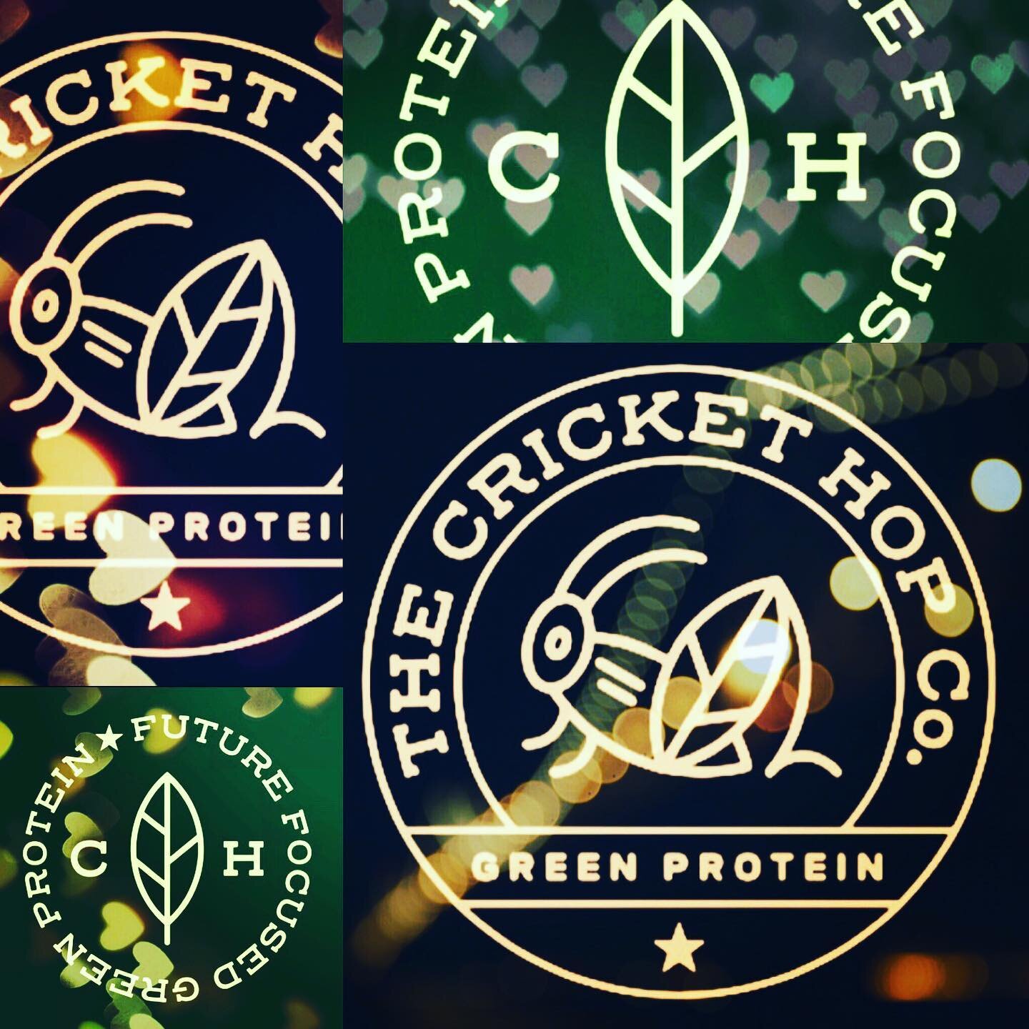 Cricket Hop is now back online and fully stocked. Check out our summer offers from Thursday. @ www.crickethop.com #crickethop #crickethopfoods #cricketprotein #cricketflourprotein #nutrition #lifestyle #sustanibility #green #greenprotein