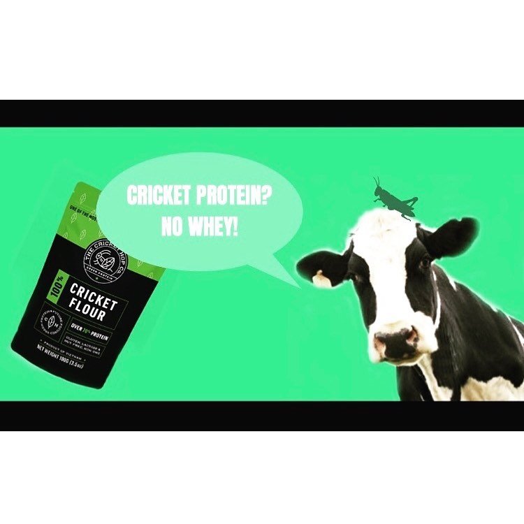 Lactose free protein. Great alternative to Whey, better for your gut also and &ldquo;Whey&rdquo; more environmentally friendly.. 🍀🙌🏻🌍🐂🦗. On sale now! Watch out for our summer SALE starting tonight!! #crickethop #crickethopfood #cricketproteinpo