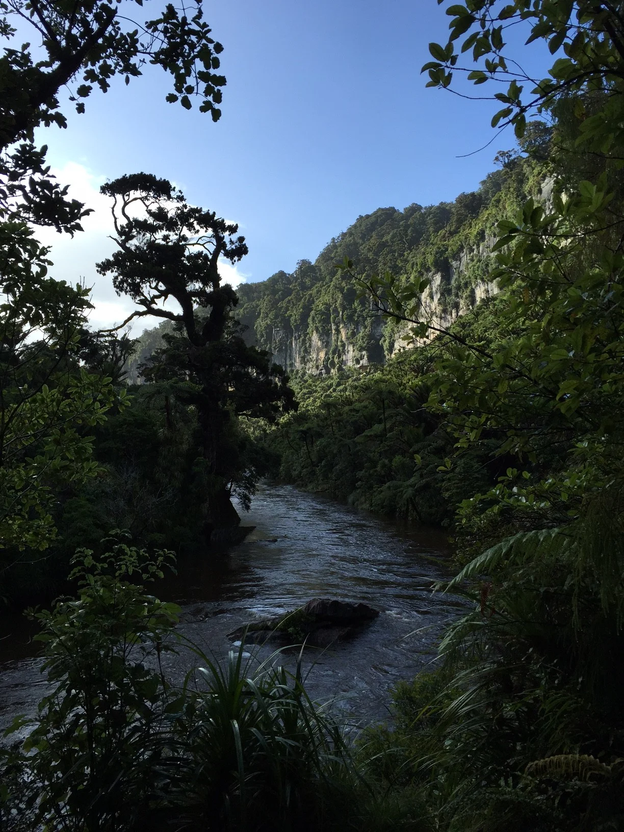 NZpunakaiki-e1426500365942.jpg
