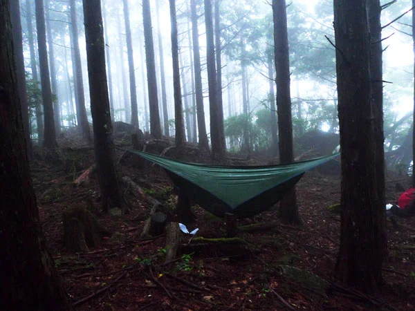hammock.jpg