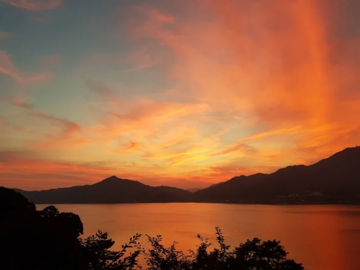 移転のお知らせ