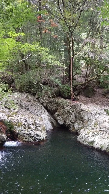 IMGP3527 (640x360).jpg