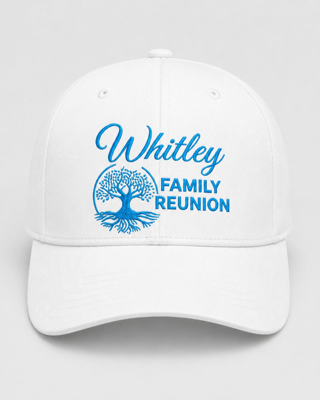 Adult Fitted Cap 26.png