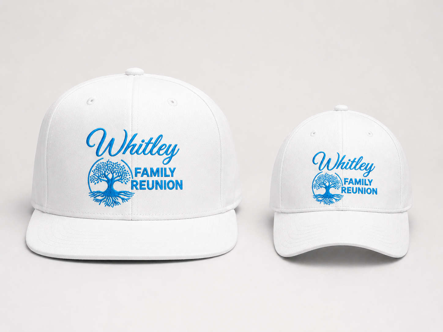 both fitted caps 26.png