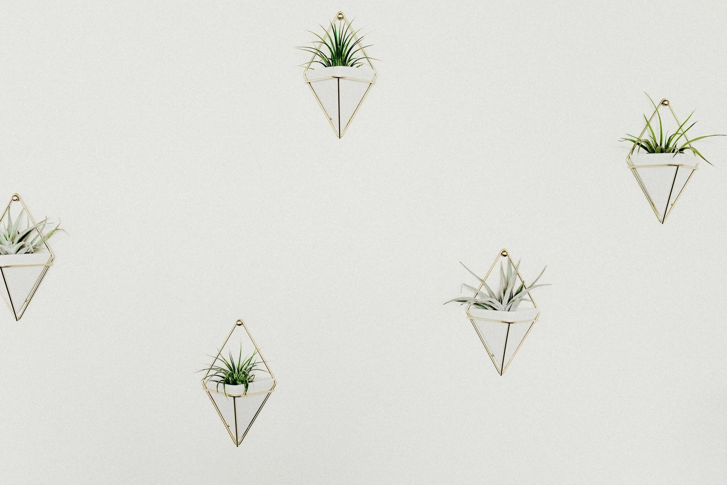 liana-mikah-343240-unsplash-2.jpg