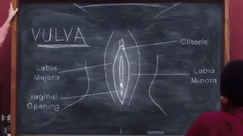 vagina 6.gif