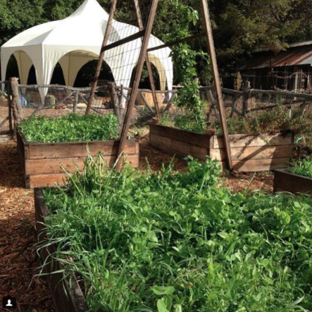 Screen Shot 2017-11-13 at 12.45.30 PM.png