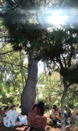 Screen Shot 2017-11-13 at 12.46.38 PM.png