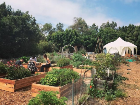 Screen Shot 2017-11-13 at 12.47.02 PM.png