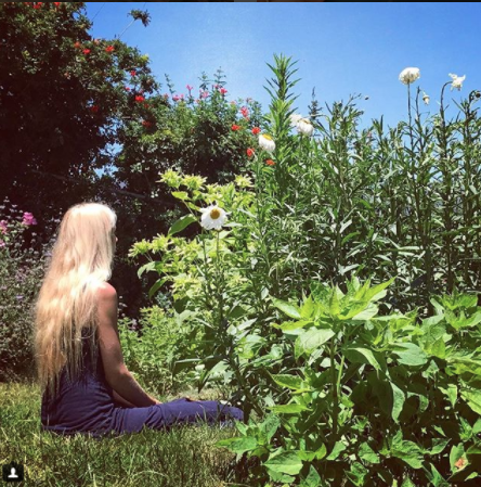 Screen Shot 2017-11-13 at 12.48.39 PM.png