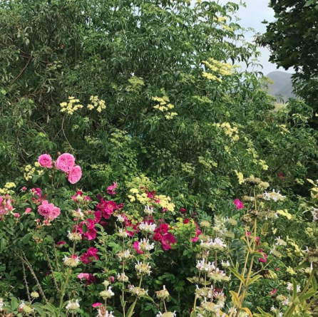 Screen Shot 2017-11-13 at 12.49.18 PM.png