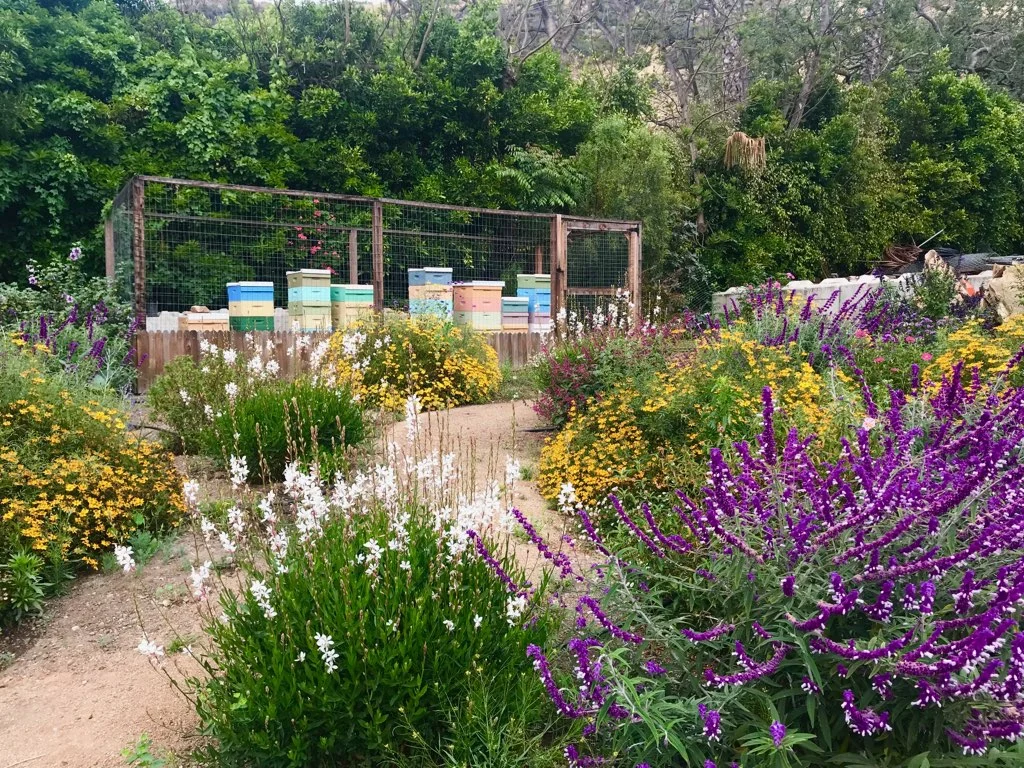 Bee Garden, Malibu, CA