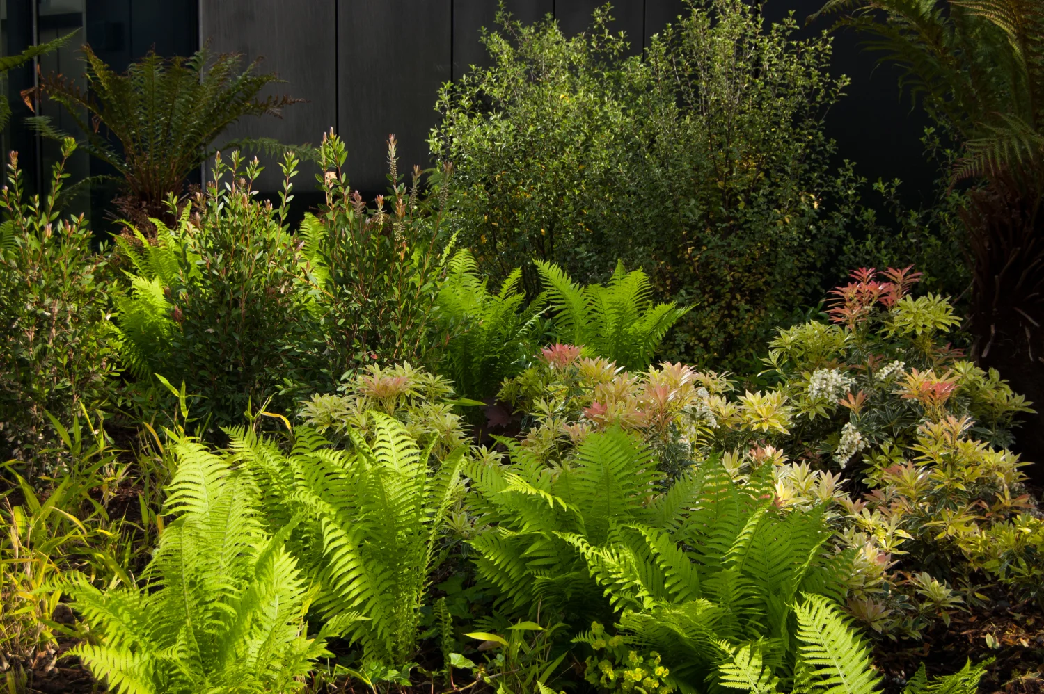 Crossrail Station Roof Garden_02.jpg