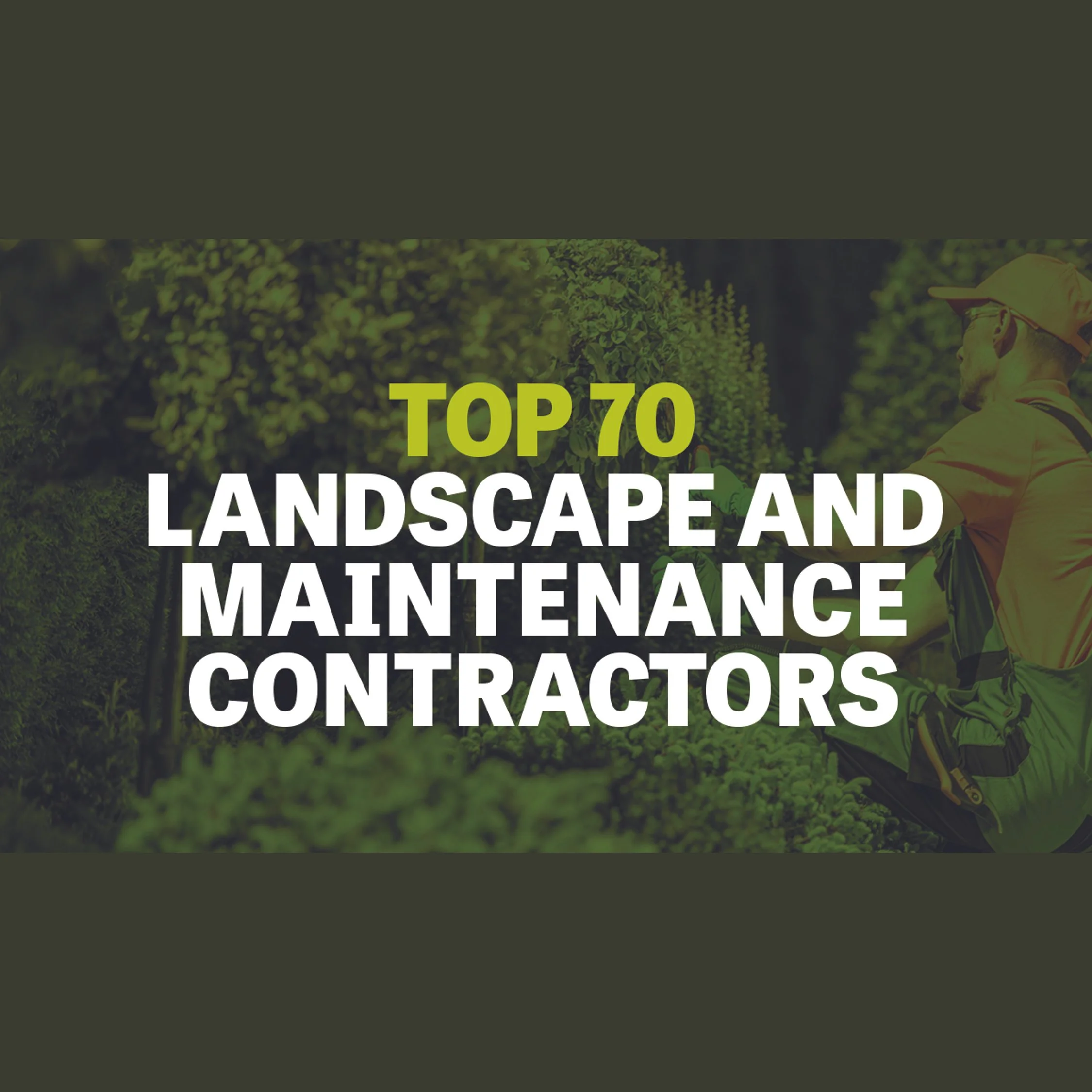 Blakedown Recognised in HortWeek's Top 20 Landscape and Maintenance Contractors