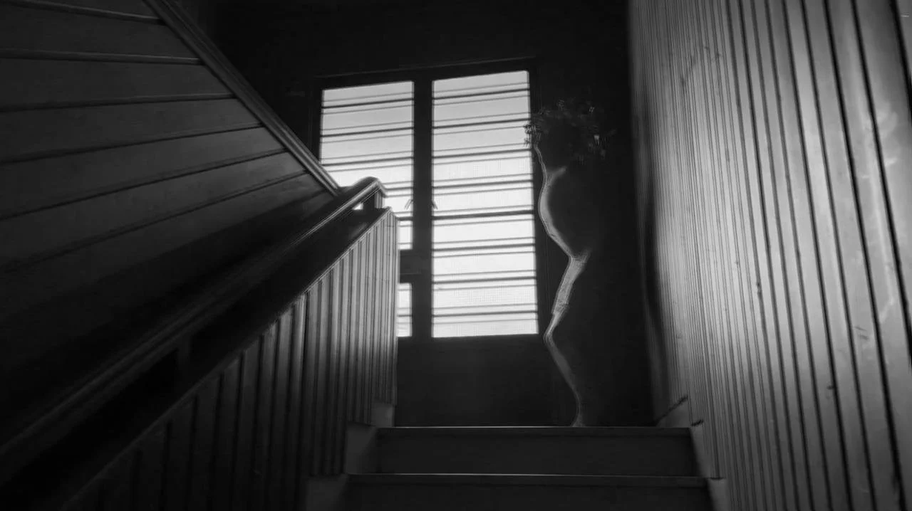 WhatsApp Image 2026-03-11 at 1.17.56 AM.jpeg